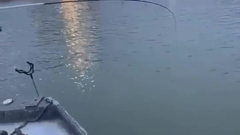 Light Tackle BIG Catfish!